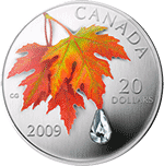Kanada - 2009, 20 dolarów - Kropla deszczu - Jesienny liść klonu