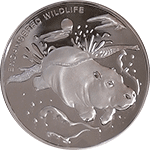 Kongo - 10  franc 2008 - Zagrożone zwierzęta - Hipopotam