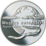 20 zł 2003 Węgorz Europejski
